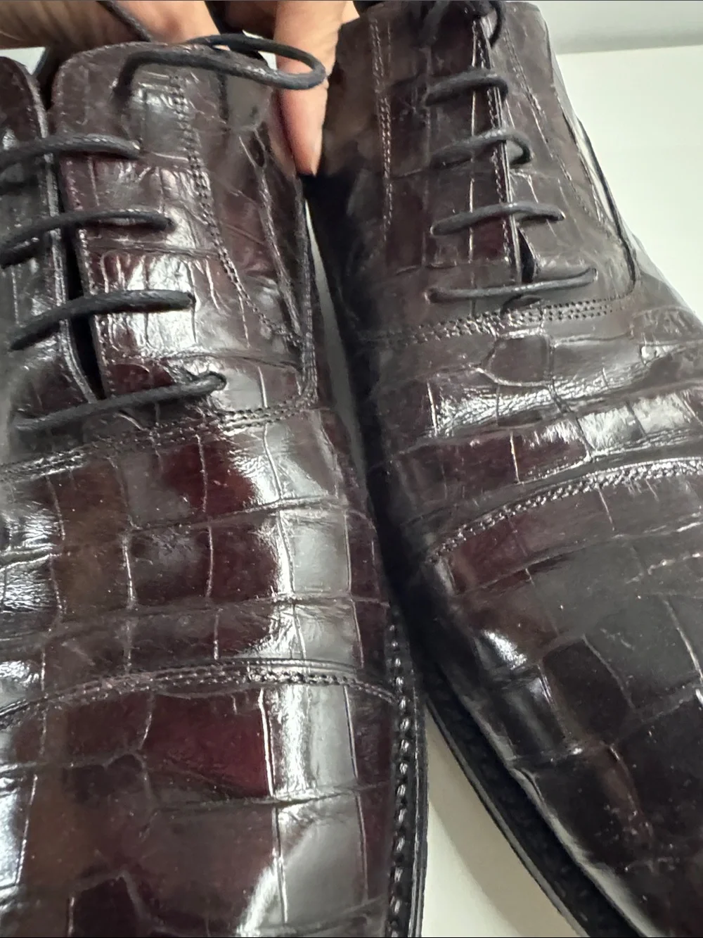 Caporicci size 11.5 Men's real alligator Leather Oxford in Dark Brown